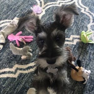 Meet your Posher, Melissa